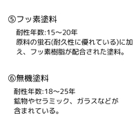 画像255