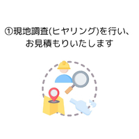 画像275